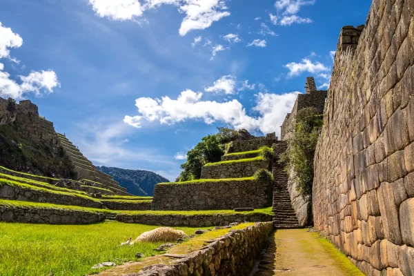 Inca Jungle Trail 3 Days to Machu Picchu