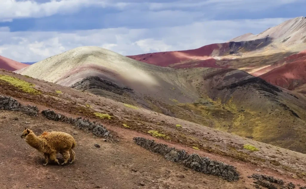 Rainbow Mountain Trek 2 Days
