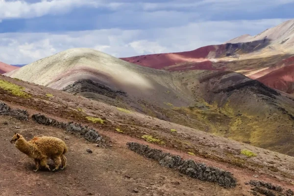 Rainbow Mountain Trek 2 Days