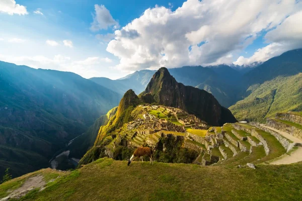 Machu Picchu 1-Day Tour by Expedition Train
