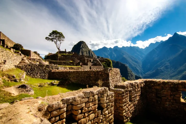 Machu Picchu 1-Day Tour by Expedition Train